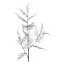 Umělá větvička Asparagus acutifolius NYALA, tmavě zelená, 85cm