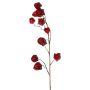 Umělá větvička physalis AINOS, plody, třpytky, vínová, 80cm