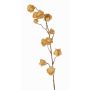 Umělá větvička physalis AINOS, plody, třpytky, béžová, 80cm