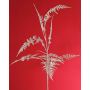 Dekorativní větvička Asparagus plumosus GIONA, stříbrná, 85cm
