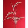 Dekorativní větvička Asparagus plumosus GIONA, stříbrná, 85cm