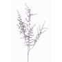 Dekorativní větev Asparagus acutifolius PARNASO, stříbrná, 100cm
