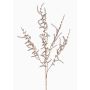 Dekorativní větev Asparagus acutifolius PARNASO, zlatá, 100cm