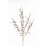 Dekorativní větev Asparagus acutifolius PARNASO, zlatá, 100cm
