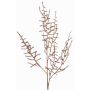 Dekorativní větvička Asparagus acutifolius PARNASO, měděná, 100cm