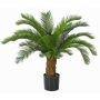 Dekorativní palma Cycas SLITAL, 80cm