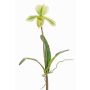 Umělá orchidej Paphiopedilum VELANA, tyčinka, zelenobílá, 40cm