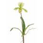 Umělá orchidej Paphiopedilum VELANA, tyčinka, zelenobílá, 40cm