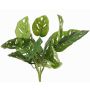 Umělý filodendron Monstera adansonii ARKADIO, tyč, 40cm