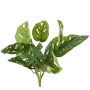 Umělý filodendron Monstera adansonii ARKADIO, tyč, 40cm