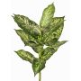Umělá Dieffenbachia VISP, nehořlavá, zelenobílá, 40cm