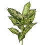Umělá Dieffenbachia VISP, nehořlavá, zelenobílá, 40cm