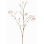 Dekorativní větvička Lunaria KONIA, krémová, 95cm