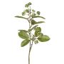 Umělá větev dřínu PANGO s pupeny, zelenobílá, 70cm
