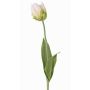 Umělá květina papoušek tulipán UAKARI, bílo-zelená, 65cm, Ø6cm