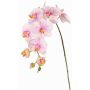 Dekorativní větvička orchideje Phalaenopsis WESA, růžovo-bílá, 90cm, Ø11-12,5cm