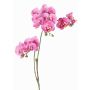 Umělá větev orchideje Phalaenopsis VILLANI, růžovo-růžová, růžovo-fuchsiová, 60cm, Ø3,5-5cm