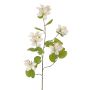Umělá větev Bauhinia ENSANA, bílá, 120cm