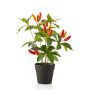 Umělá rostlina chilli KIRKI s plody, v dekorativním květináči, oranžovo-červená, 35 cm