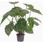 Umělá rostlina syngonium PERAMI, zelená, 45cm