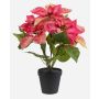 Umělá poinsettie GRULEN v dekorativním květináči, růžová, 40cm