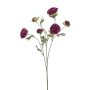 Umělá větvička ranunculus DAVELLA, tmavě fialová, 80 cm