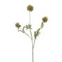 Dekorativní větev hvězda Scabiosa RANIK, zelená, 70 cm