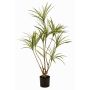 Umělý strom Dracaena marginata SHALLU, umělé stonky, zelený, 120cm