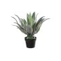 Umělý sukulent Agave americana KYANO, dekorativní květináč, zeleno-krémový, 55cm