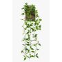 Umělá závěsná rostlina Philodendron scandens SAELFES na tyči, 85cm