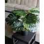 Umělý filodendron monstera deliciosa MUNIN, 55cm