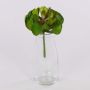 Art Aeonium GERTRUDE na tyčce, zeleno-červená, 13cm