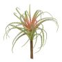 Umělý sukulent Tillandsia Stricta LUONG, zátka, zeleno-červená, 22cm