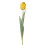 Dekorativní tulipán GUSNAV, žlutý, 50cm