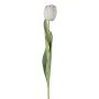Dekorativní tulipán GUSNAV, bílý, 50cm, Ø5cm