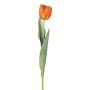 Dekorativní tulipán GUSNAV, oranžový, 50cm