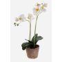 Umělá orchidej phalaenopsis MINA v terakotovém květináči, bílá, 45cm