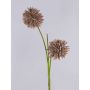 Umělé allium CHIRARA, hnědé, 90cm, Ø10cm