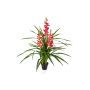 Umělá květina orchidej cymbidium COROWA, červeno-žlutá, 120cm
