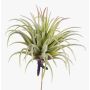 Umělá tillandsia rubra PENNY, se zápichem, zeleno-červená, 12cm, Ø10cm