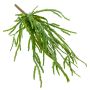 Umělý rhipsalis visící HADRIAN na zápichu, zelená, 35cm