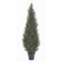 Umělý cedr EDELA, pro interiér i exteriér, zelená, 150cm