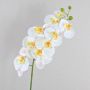 Umělá větvička orchideje phalaenopsis OPHELIA, bílá, 100cm
