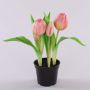 Umělý tulipán CAITLYN v ozdobném květináči, růžovo-zelený, 25cm, Ø2-6cm