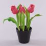 Umělý tulipán CAITLYN v ozdobném květináči, tmavě růžovo-zelený, 25cm, Ø2-6cm