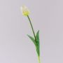 Plastový tulipán LONA, bílo-zelený, 45cm, Ø4cm