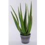 Umělá aloe vera NAMIKA v dekoračním květináči, zelená, 50cm, Ø25cm