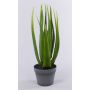 Umělé aloe vera NAMIKA v dekoračním květináči, zelená, 60cm, Ø30cm