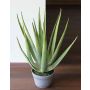 Umělé aloe vera NAMIKA v dekoračním květináči, zelená, 60cm, Ø30cm