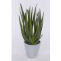 Umělá aloe vera NAMIKA v betonovém květináči, zelená, 40cm, Ø20cm